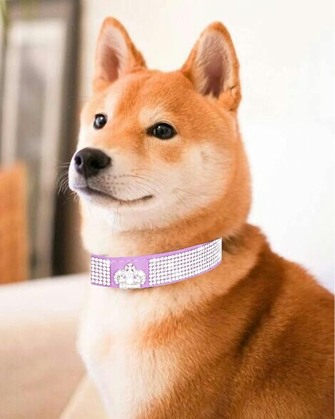 Bling Dog Collar for Small Medium Large Dogs, Crown Rhinestone Dog Collars for Girl and boy Dog, Diamond Puppy Collars, Adjustable Leather Suede SOFE Cat Collar (XS(8.2"-10.6"/21CM-27CM), Purple)