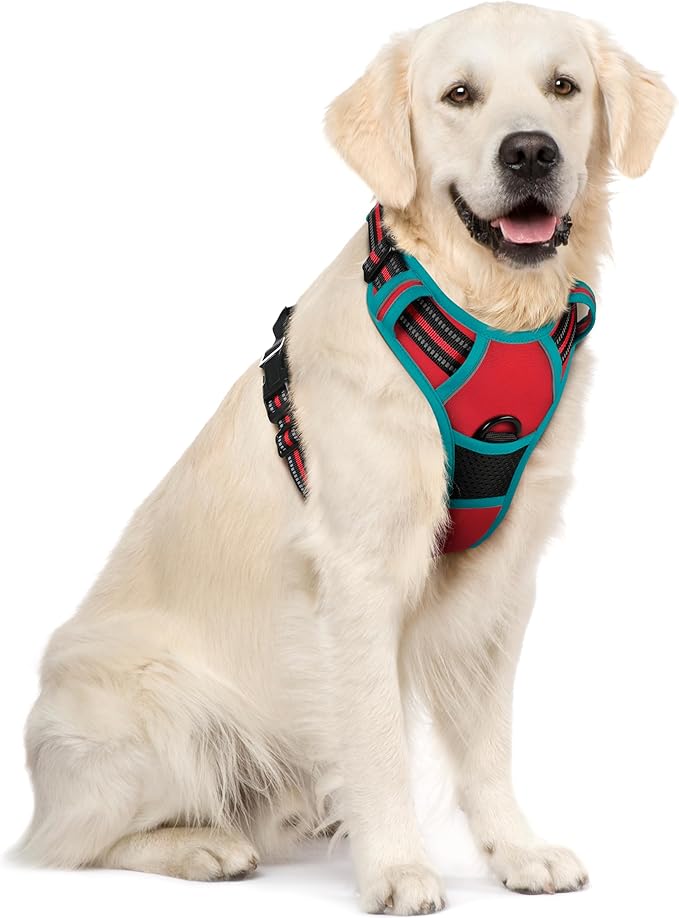 rabbitgoo Dog Harness No Pull with 2 Leash Clips, Adjustable Soft Padded, Reflective Oxford No Choke Pet Vest with Easy Control Handle for Large Dogs, Red & Teal, XL