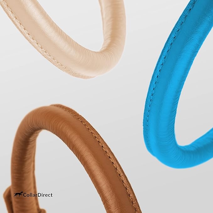 CollarDirect Rolled Leather Dog Collar, Soft Padded Round Puppy Collar, Handmade Genuine Leather Collar Dog Small Large Cat Collars 13 Colors (8-11 Inch, Light Blue Textured)