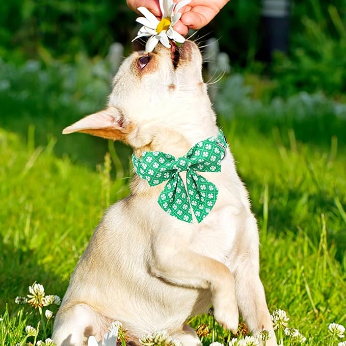 Maca Bates St. Patrick's Day Shamrock Dog Collar,Sailor Bow,Small Girl Boy Dogs, Checkered Lucky Clover Pattern,Adjustable Durable Soft Checkered Collars Irish Gift for Male Female Puppy
