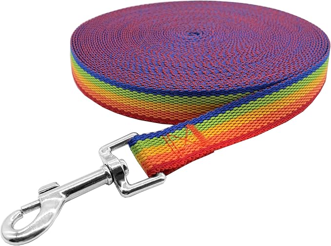 Nylon Training Dog Leash for Small Medium Large Dogs, 15ft 20ft 30ft 50ft Long Leash Dog/Puppy Lead for Obedience Recall Training, Camping (30ft, Rainbow)