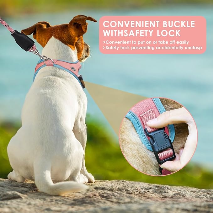 Dog Harness and Leash Set, No Pull Saddle Style Pet Harness, Breathable Mesh Adjustable Reflective Dog Vest for Dogs and Cat Medium Small Harness 2 D-Rings (Pink, S)