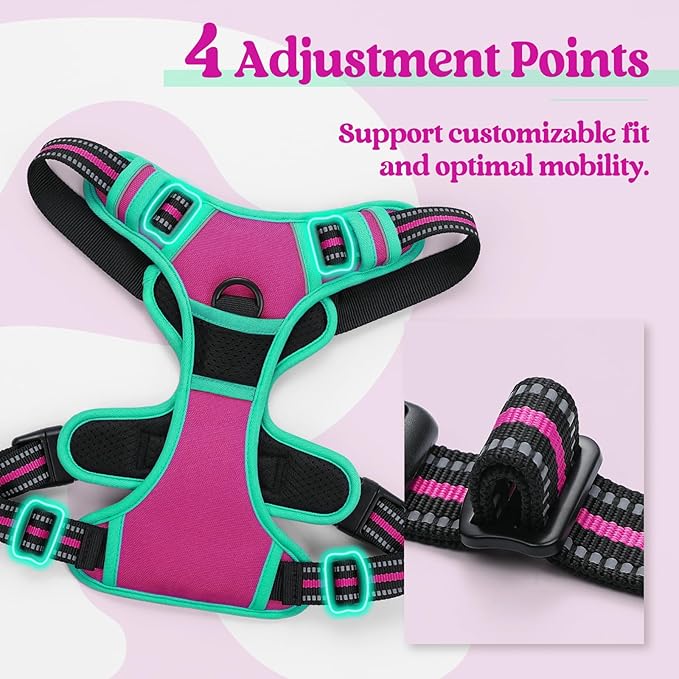 rabbitgoo Dog Harness No Pull with 2 Leash Clips, Adjustable Soft Padded, Reflective Oxford No Choke Pet Vest with Easy Control Handle for Large Dogs, Hot Pink & Turquoise, L