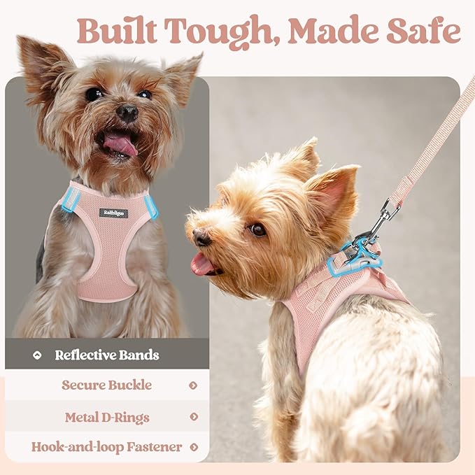 rabbitgoo Dog Harness Small Medium Sized and Leash Set, Step in Soft Light Puppy Vest, Breathable Mesh Pet Harness, Reflective for Safe Outdoor Walking, Pink L