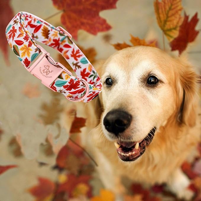 Elegant little tail Fall Dog Collar, Autumn Leaves Pet Collar Durable Dog Collars Male or Female Holiday Pet Gift Adjustable Dog Collar for Small Dogs