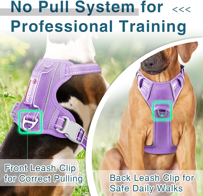 BARKBAY Dog Harness No Pull with ID Tag Pocket - Heavy Duty, Reflective, Easy Control for Large Dogs(Violet Purple,S)