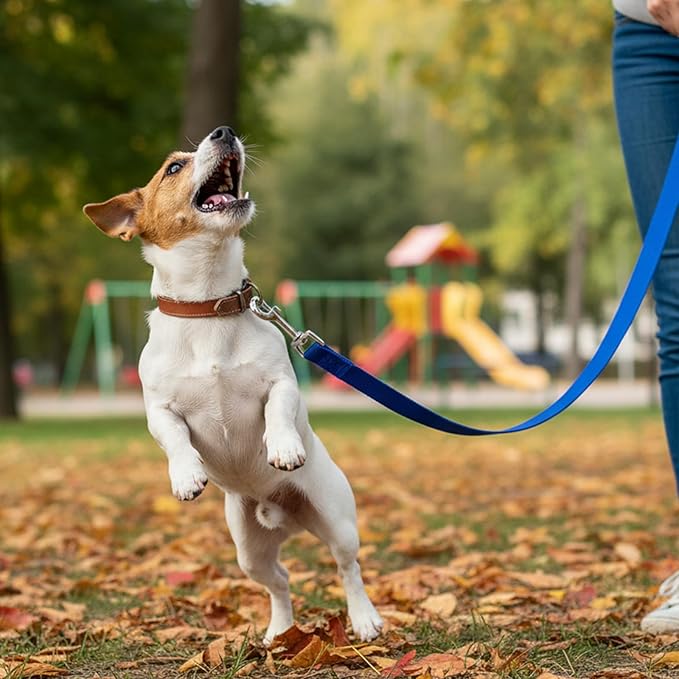 15 Pcs Nylon Dog Leashes Bulk, 5 FT Strong Dog Training Leash 15 Colors Pet Rope Leashes with Swivel Hook for Small Medium Puppy Play, Backyar, Training, Camping