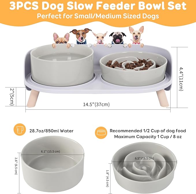 Elevated Slow Feeder Dog Bowls - Ceramic Food and Water Bowl Set with Stand - Raised Pet Dishes for Small and Medium Sized Dogs