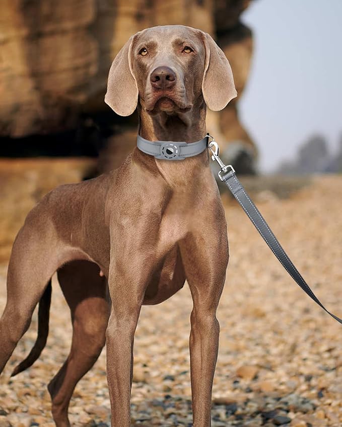 Reflective Dog Leash 4ft Soft Padded Handle Nylon Lead for Small & Medium Dogs, Durable Walking Training Leash for Night Safety (Gray,1Inch Wide)