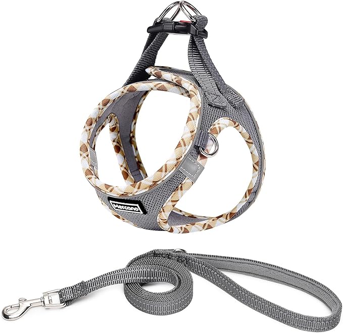 Mercano Soft Mesh Dog Harness and Leash Set, No-Chock Step-in Reflective Breathable Lightweight Easy Walk Vest Harnesses with Safety Buckle for Small Dogs, Cats (Grey, XS)