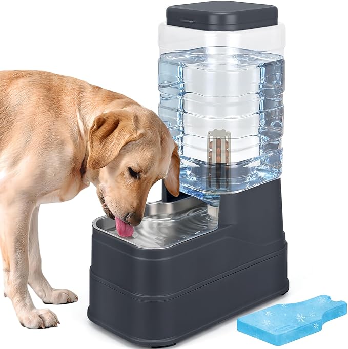 2.2 Gallon Pet Automatic Dog Water Dispenser Cat Gravity Waterer Feeder with Stainless Steel Bowl Large Capacity Puppy Feeding Raised Bowls with Filter,Ice Pack for Large Pets