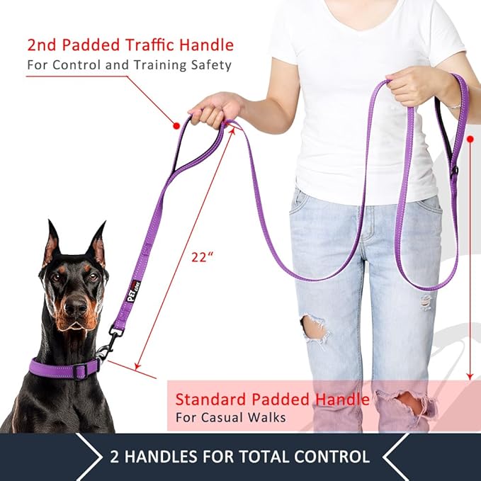 Plutus Pet Double Handle Dog Leash 5ft, Heavy Duty, Reflective Dual Handle Dog Leash for Safety Training, for Medium Large Dogs,2 Handle Leads(Purple)