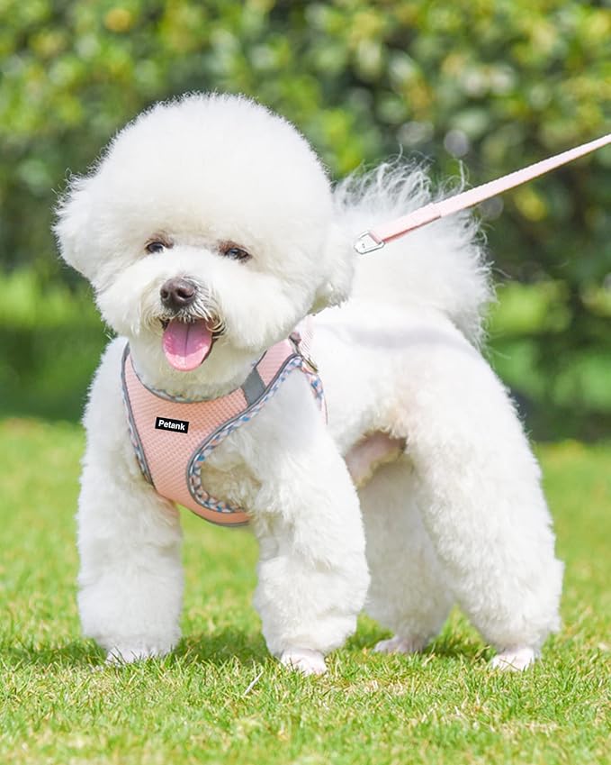 Petank Dog Harness for Small Medium Dogs No Pull, Puppy Harness and Leash Set, Step in Dog Harness for Walking, Running, Training, Small Dog Vest(Pink, XS)