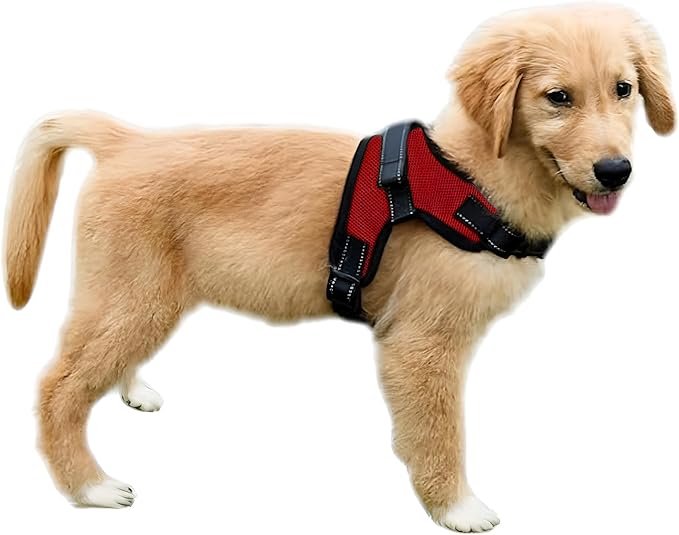 No Pull Reflective Adjustable Dog Harness With Handle- Comfortable Soft All Weather Mesh, Easy On Puppy Harness For Small Medium and Large Dogs (Red) X-Small