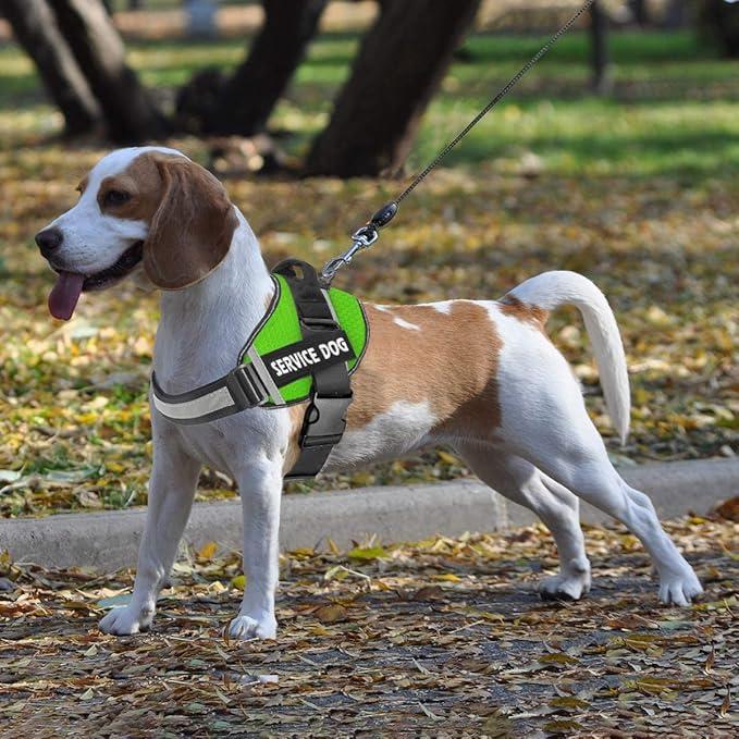 JSXD Dog Harness,No-Pull Service Dog Harness with Handle Adjustable Outdoor Pet Dog Vest 3M Reflective Nylon Material Vest for Breeds,Easy Control for Small Medium Large Dogs