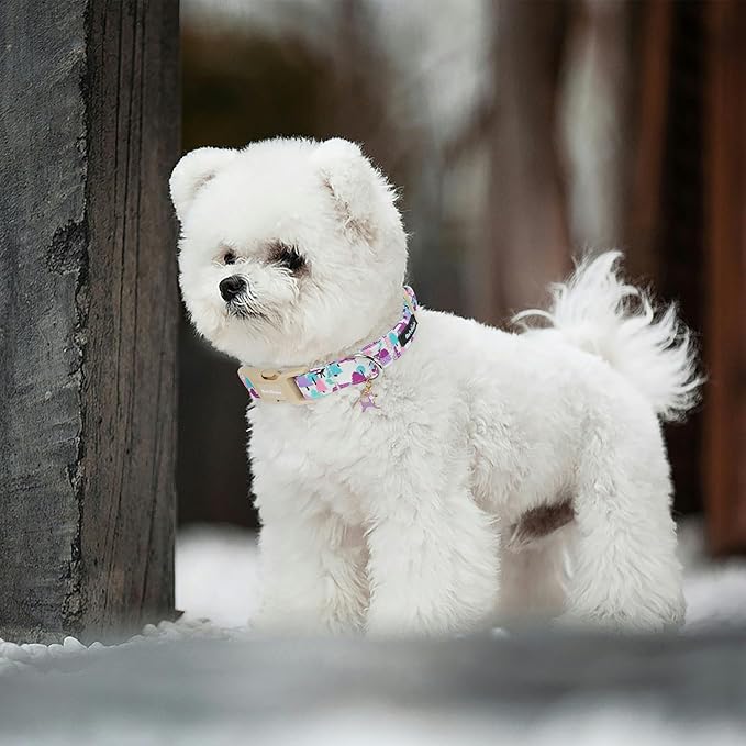 Winter Wonderland Dog Collar for Small Dogs竊똀djustable White Puppy Collar with Purple Pink Teal Pine Tree, Deer and Cabin Line Art, for Daily Walks, Photos & Seasonal Adventures - M