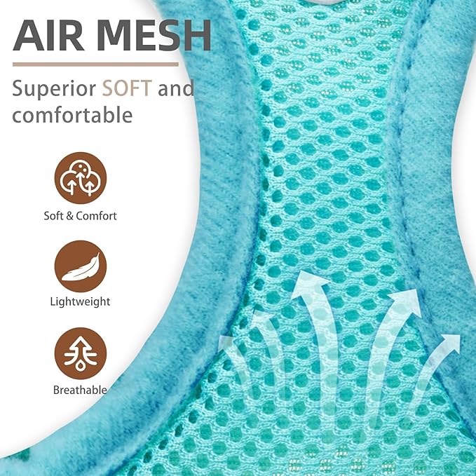 PUPTECK Adjustable Dog Harness Collar and Leash Set Step in No Pull Pet Harness for Small Medium Dogs Puppy and Cats Outdoor Walking Running, Soft Mesh Padded Reflective Vest Harnesses, Turquoise XS