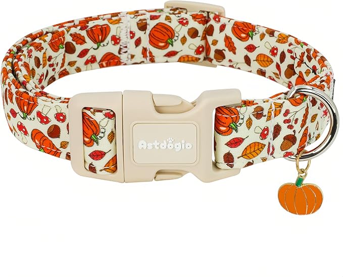 Fall Dog Collar ??Halloween & Thanksgiving Dog Collars for Small Dogs ??Soft & Comfortable Autumn Puppy Collar with Quick Release Buckle, Small Dog Collars for Girl Boy Dogs-S