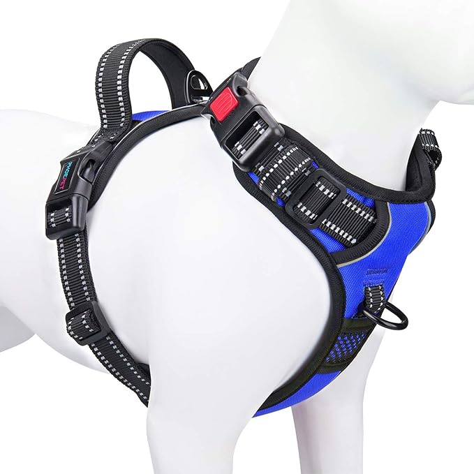 PHOEPET No Pull Dog Harness Medium Reflective Front Clip Vest with Handle,Adjustable 2 Metal Rings 3 Buckles,[Easy to Put on & Take Off](XS, Royal Blue)