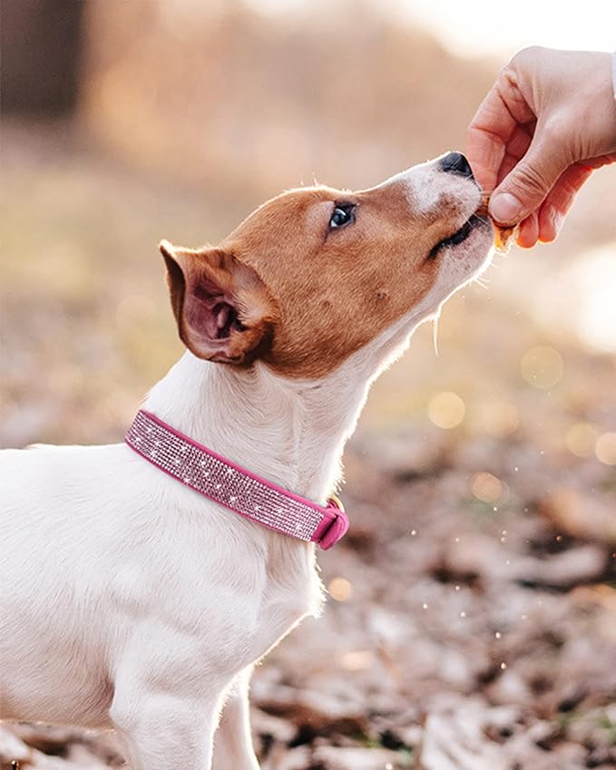 Dog Collar for Small Dogs, Adjustable Leather Suede Bling Dog Collars，Rose Red Dog Collar Cat Collar, Rhinestone Dog Collar (S, Rose red)
