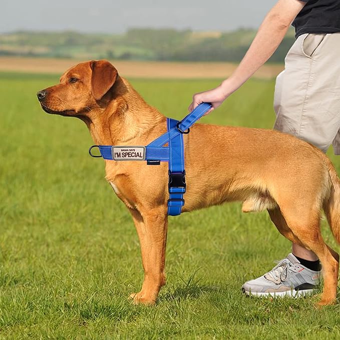 Annchwool No Pull Dog Harness with Soft Padded Handle,Reflective Strip Escape Proof and Quick Fit to Adjust Dog Harness,Easy for Training Walking for Small & Medium and Large Dogs(Blue,L)