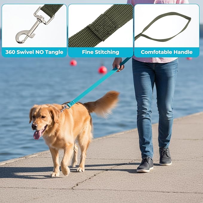 15 Pcs Nylon Dog Leashes Bulk, 5 FT Strong Dog Training Leash 15 Colors Pet Rope Leashes with Swivel Hook for Small Medium Puppy Play, Backyar, Training, Camping