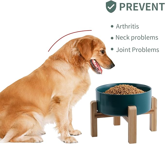 Green Raised/Elevated Ceramic Dog Bowl for Medium Large Sized Breeds,Dog Food Water Bowl with Stand,8 in 7.6 Cups Non Slip Heavy Weighted