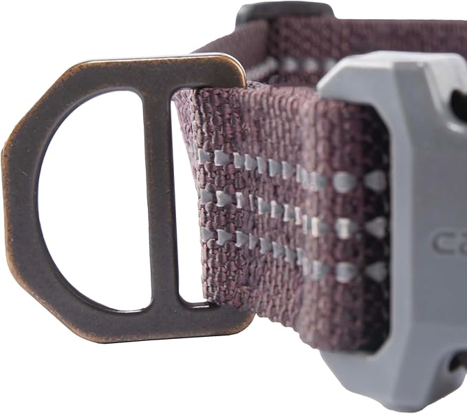 Carhartt Nylon Webbing Dog Collar, Fully Adjustable W/Durable Side Release Buckle, Deep Wine, Large