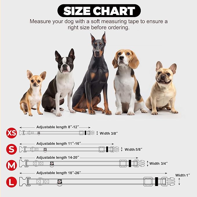azuza Reflective Dog Collar with Airtag Holder, Soft Neoprene Padded Pet Collar with ID Tag Ring, Adjustable for Small Dogs,Teal,S