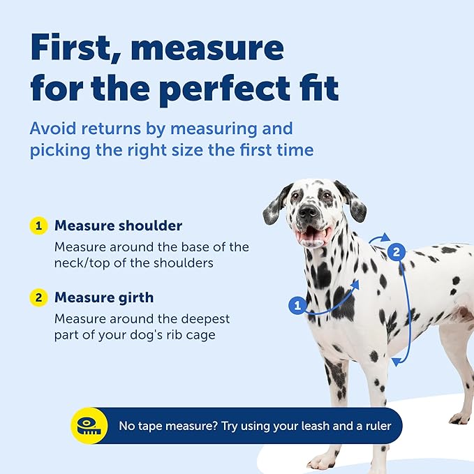 PetSafe 3-in-1 Harness - Comfortable Easy-Walk Dog Chest Harness with Front Leash Attachment to Reduce Pulling, Choking & Gagging - Dog Obedience Gear - Medium - Black