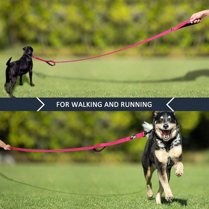 Plutus Pet Double Handle Dog Leash 4ft, Heavy Duty, Reflective Dual Handle Dog Leash for Safety Training, for Medium Large Dogs,2 Handle Leads(Pink)