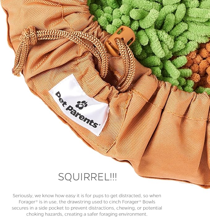 Pet Parents Forager Slow Feeder Bowls with SoftSnout & Non-Slip Backing, Dog Puzzle Toys & Snuffle Mat (Meadow Natural)