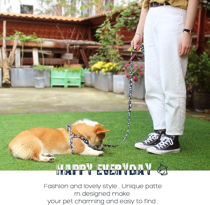 QQPETS Dog Harness Leash Set Adjustable Heavy Duty No Pull Halter Harnesses for Small Medium Large Breed Dogs Back Clip Anti-Twist Perfect for Walking (M(19"-26" Chest Girth), Space)