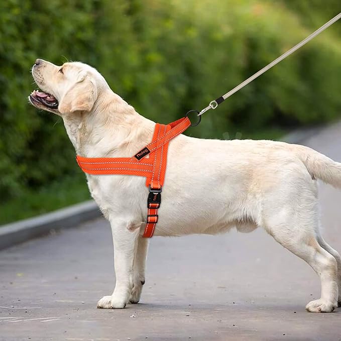Didog No Pull Dog Harness with Soft Mesh Padded,Reflective & Quick Fit Light Weight Dog Strap Vest Harness,Easy for Walking Training (XS:Chest 15-18", Orange)