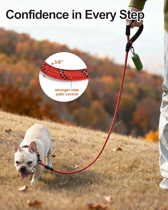 Joytale Dog Leash for Small Dogs, Heavy Duty Nylon Leashes with Comfortable Padded Handle and Highly Reflective Threads, Ideal for Walking and Training, Red, 6'횞3/8''