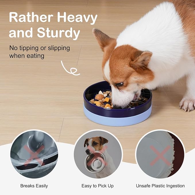 Sted Ceramic Slow Feeding Dog Bowl with Silicone Base, Small Medium Breed, Slow Down Eating, Puzzle Dog Food Bowl, Maze Blue