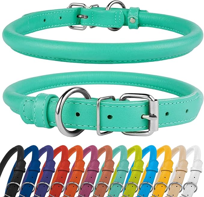 CollarDirect Rolled Leather Dog Collar, Soft Padded Round Puppy Collar, Handmade Genuine Leather Collar Dog Small Large Cat Collars 13 Colors (11-14 Inch, Mint Green Textured)