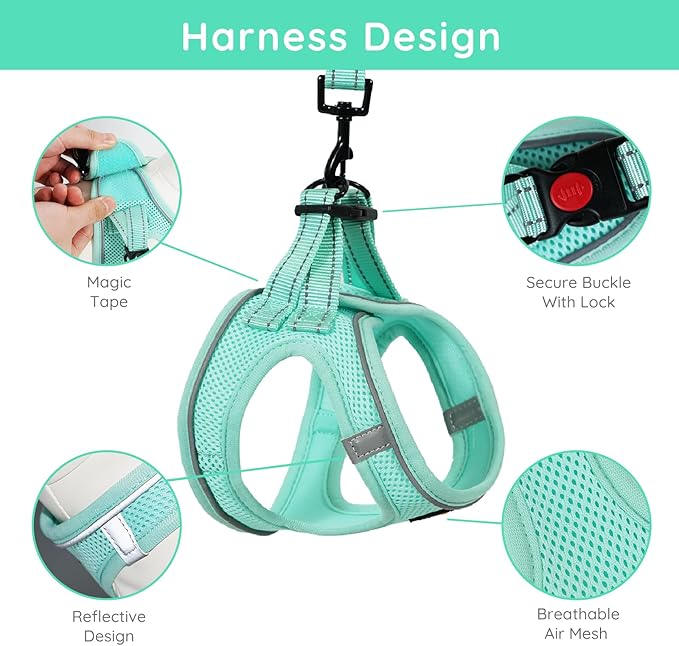 BELLA & PAL Step in Vest Harness for Small and Medium Dogs, No Pull Small Dog Harness with Leash Set, Comfortable Air Mesh Dog Vest Harness with Reflective Strip (Light Green, XS)