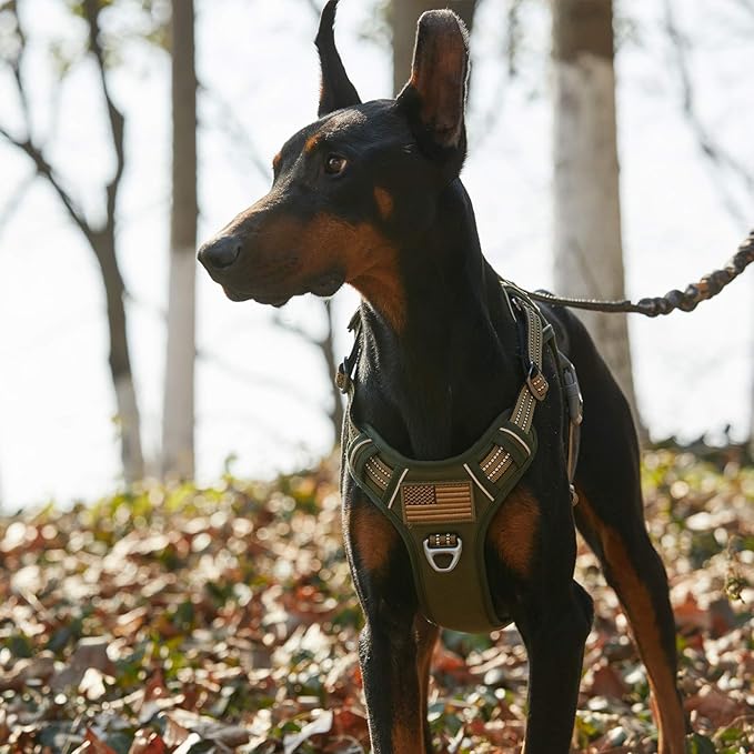 BUMBIN Tactical Dog Harness for Large Dogs, No Pull, Reflective, Green, L(Neck:19-25", Chest:21-35")