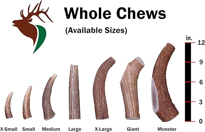 Large Whole Single Pack (for 35-65 lb Dogs) Premium Grade Elk Antler for Dogs (1 Piece) Sourced in The USA