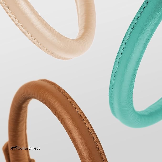 CollarDirect Rolled Leather Dog Collar, Soft Padded Round Puppy Collar, Handmade Genuine Leather Collar Dog Small Large Cat Collars 13 Colors (13-16 Inch, Mint Green Textured)
