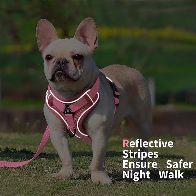 No Pull Dog Harness with Leash Set for Small Sized Dog, Reflective Adjustable No Choke Front Clip Cat Vest Harness with Breathable Mesh, Comfortable Soft Padded Pet Vest, Pink M