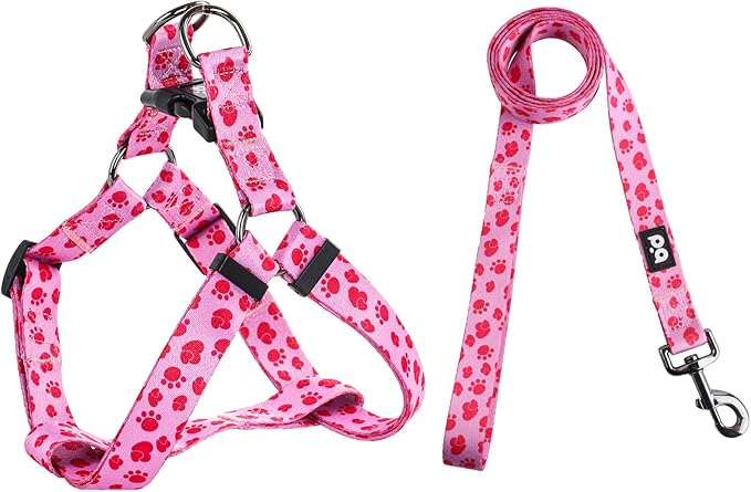 QQPETS Dog Harness Leash Set Adjustable Heavy Duty No Pull Halter Harnesses for Small Medium Large Breed Dogs Back Clip Anti-Twist Perfect for Walking