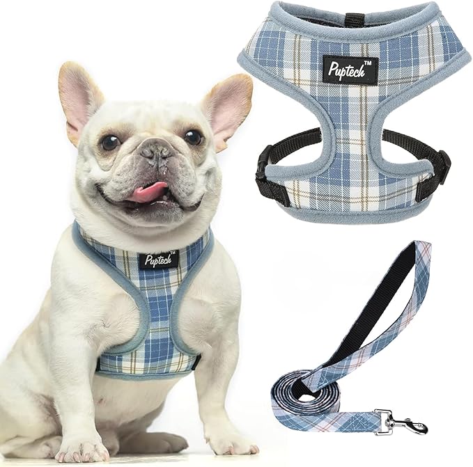 PUPTECK Soft Mesh Dog Harness and Leash Set Pet Puppy Cat Comfort Padded Vest No Pull Harnesses, Sky Blue, L