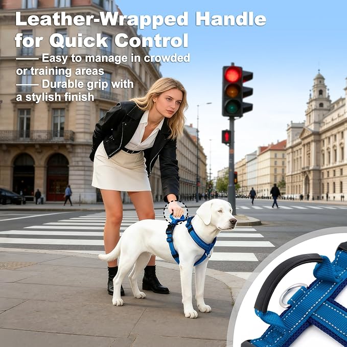 No Pull Dog Harness with Handle, Soft Mesh Padded Adjustable for Small Medium Large Dogs | Reflective Easy Walk Harness with Front Clip for Training, Running & Outdoor (Royal Blue, XL)