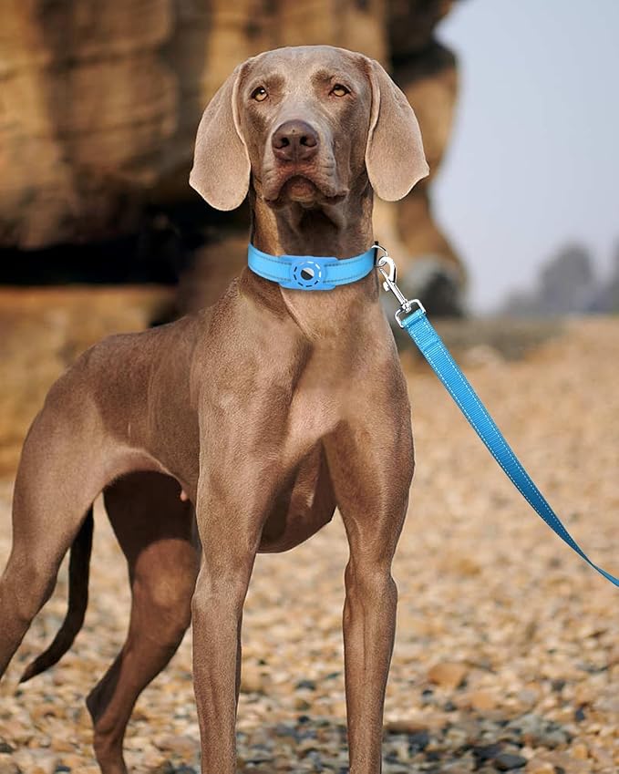 Reflective Dog Leash 4ft Soft Padded Handle Nylon Lead for Small & Medium Dogs, Durable Walking Training Leash for Night Safety (SkyBlue,3/4Inch Wide)