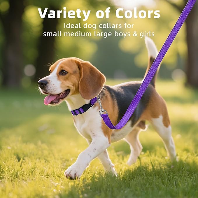 Reflective Dog Collar for Extra Large Dogs, Adjustable Collar with Soft Neoprene Padded, Durable Buckle for Daily Walking,Purple,XL