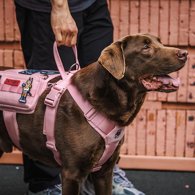 OneTigris Service Dog Vest Harness, Service Dog Cape Guardian Dog Backpack Harness with Pouches Dog Saddle Bag for Small Medium and Large Dogs (Pink, M)