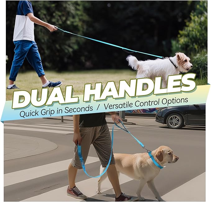 VIVAGLORY Twingrip Dog Leash, Double Handle Dog Leash for Training & Walking with Traffic Handle & 2 Loop, Traffic Control Reflective Heavy Duty for Puppy Pet, 6ft x 1/2in, Lake Blue
