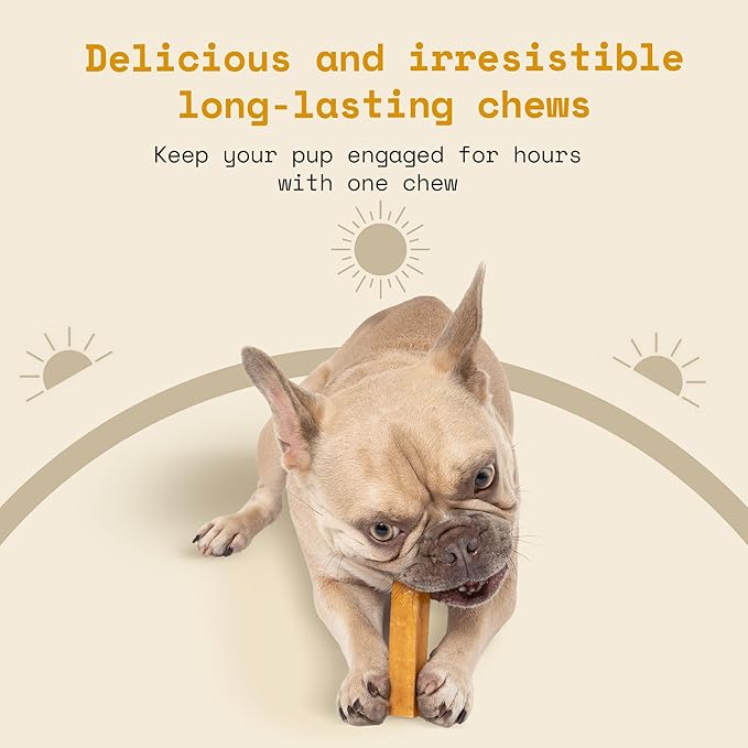 Himalayan Yak Cheese Dog Chews - Natural Healthy & Safe Treat for Large Dogs - Long Lasting Dental Chew Rich in Protein & Calcium - Gluten-Free Lactose-Free - 4 Chews for Large Dogs